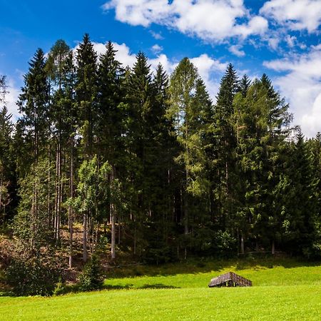 Biobauernhof Kleinummerstall Mittersill Luaran gambar