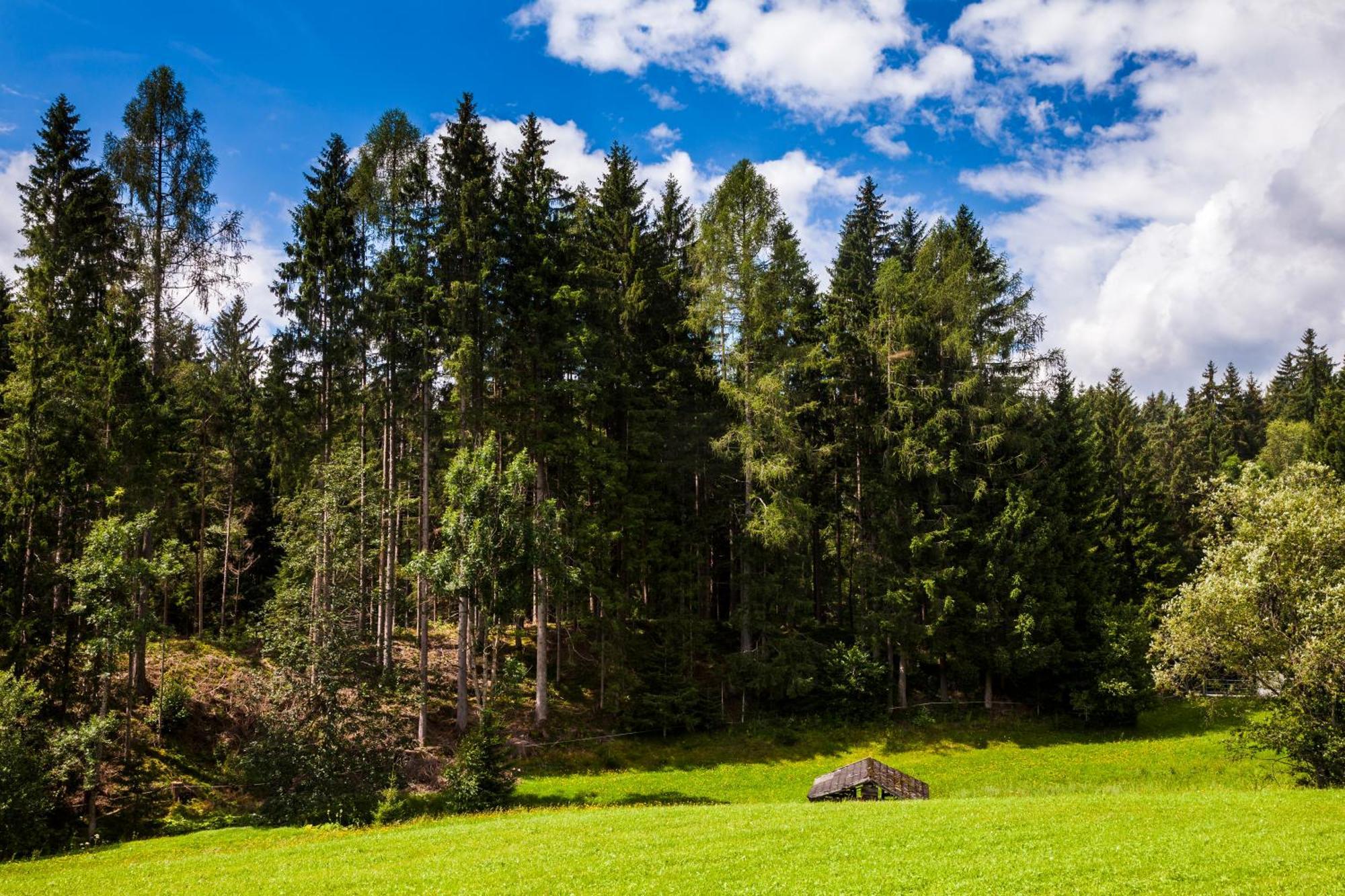 Biobauernhof Kleinummerstall Mittersill Luaran gambar